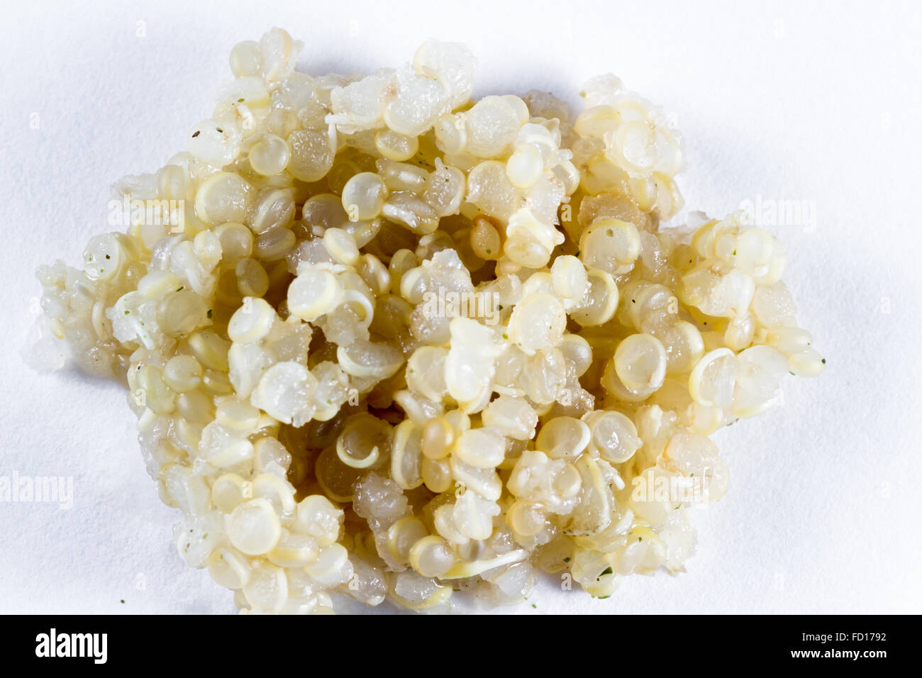 close up of organic cooked sprouted quinoa on a white background Stock  Photo - Alamy