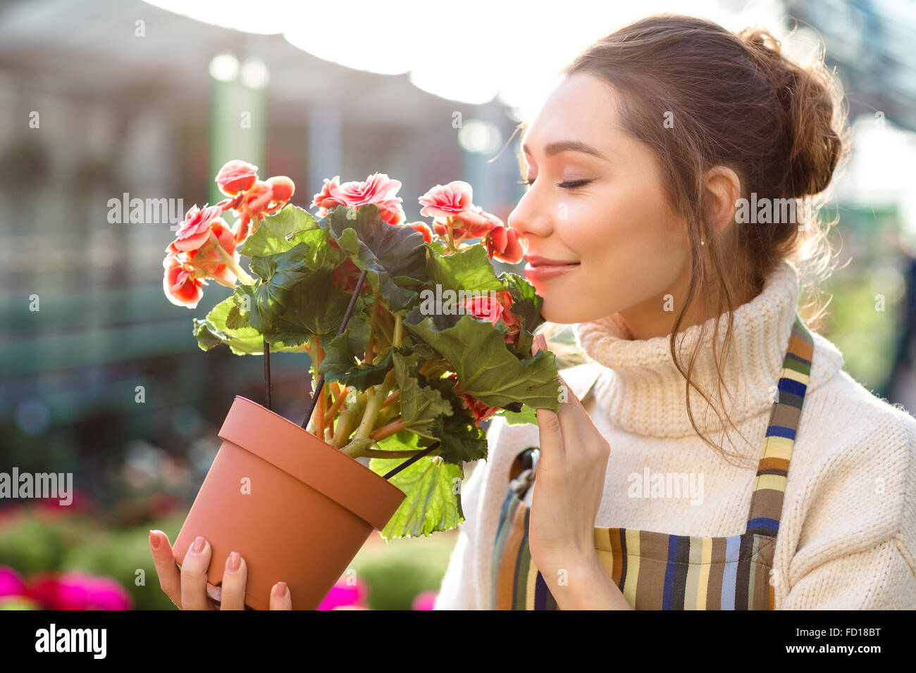 Inspired smiling young woman florist smelling flowers of begonia in greenhouse Stock Photo