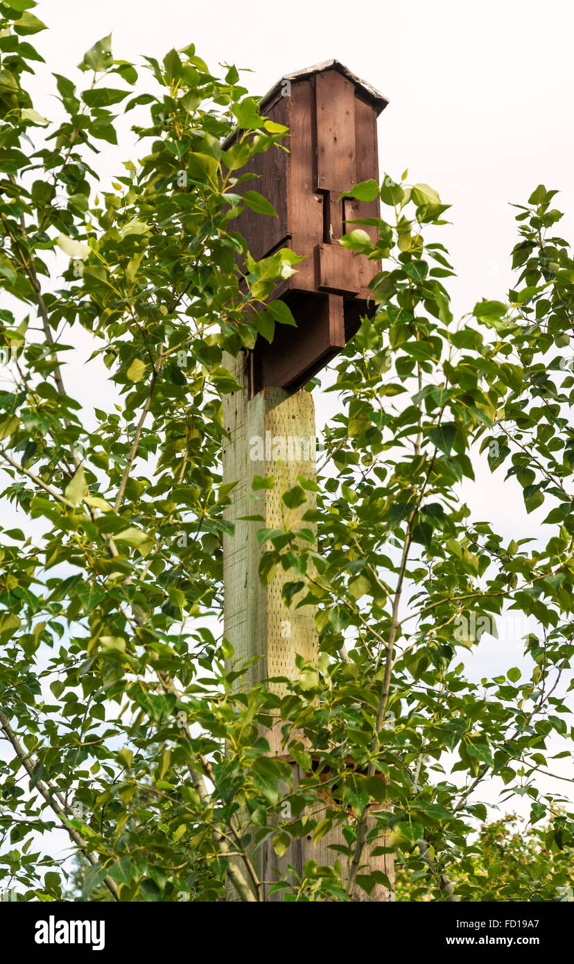 Idaho, Boise, Morrison Knudsen Nature Center, Bat Box Stock Photo