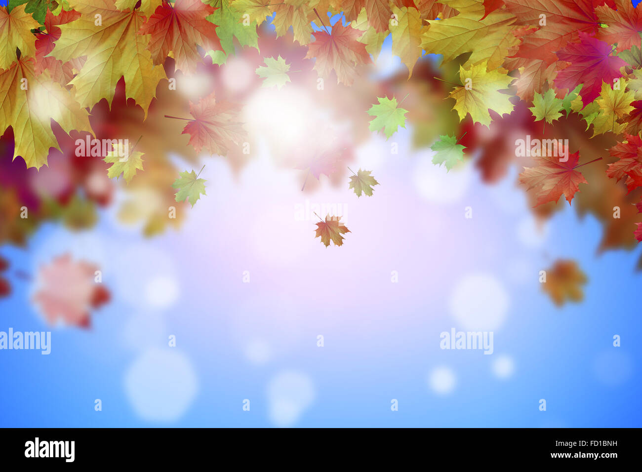 Background conceptual image with autumn leaves. Place for text Stock ...