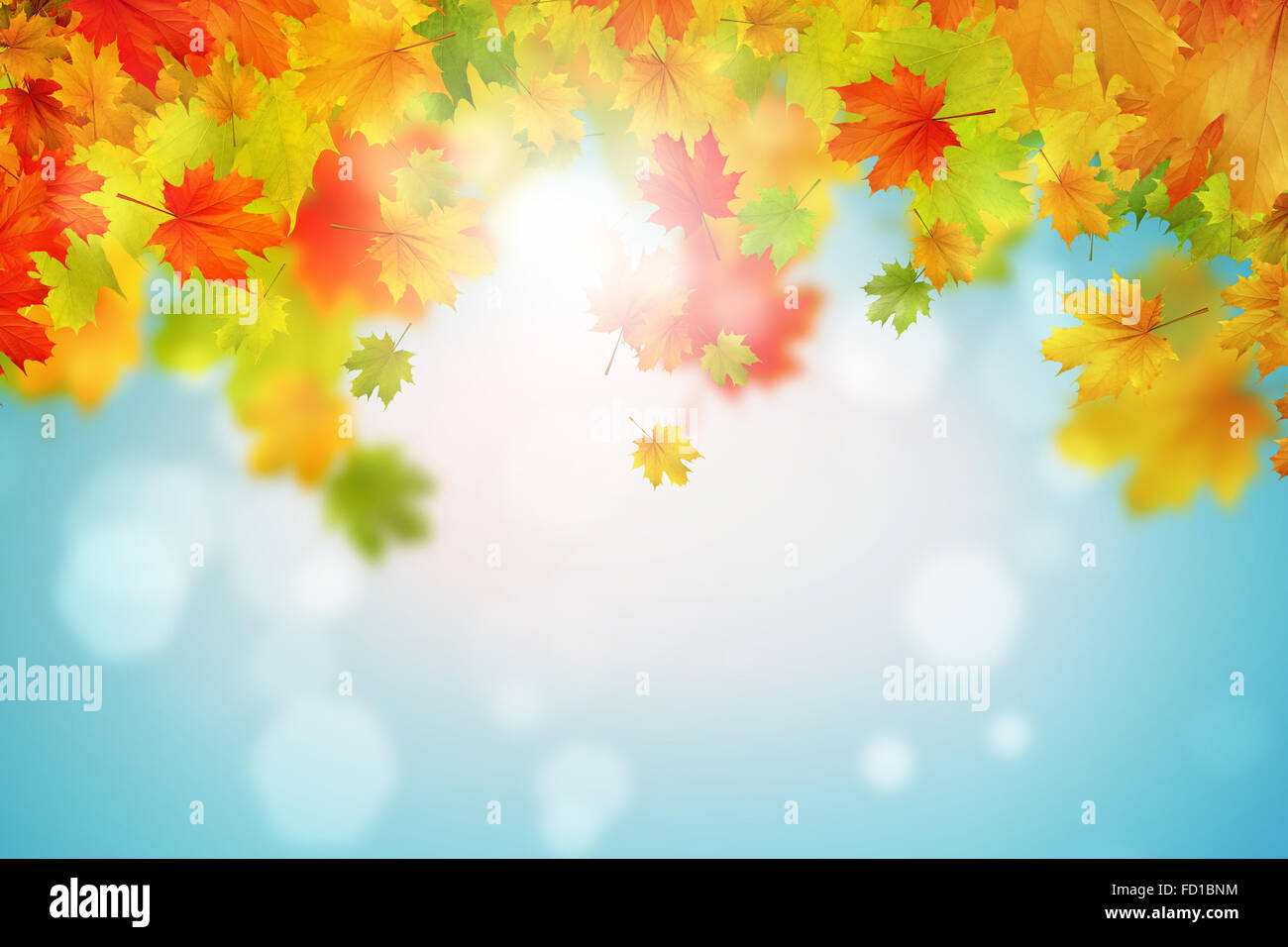 Background conceptual image with autumn leaves. Place for text Stock ...