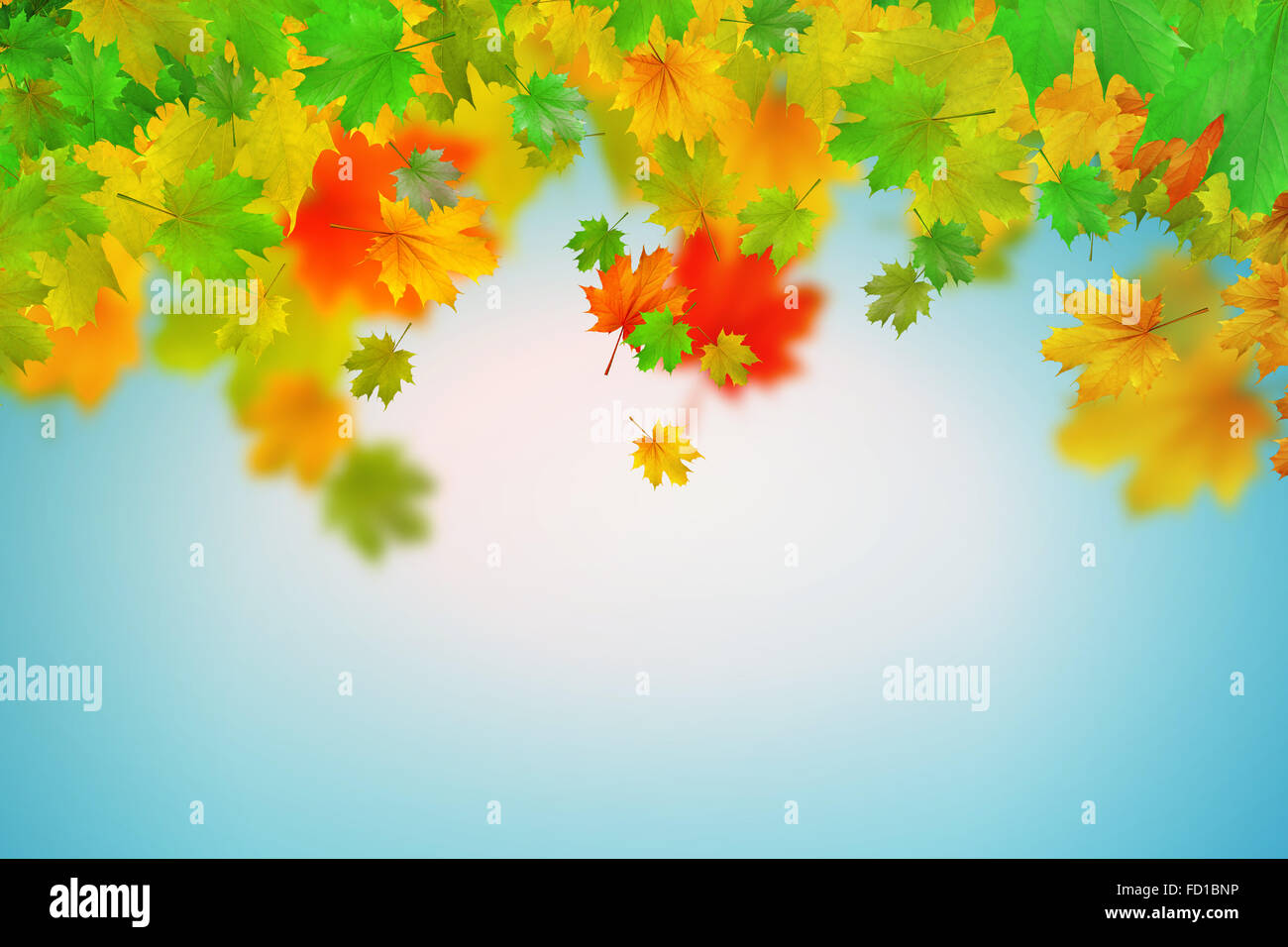 Background conceptual image with autumn leaves. Place for text Stock ...