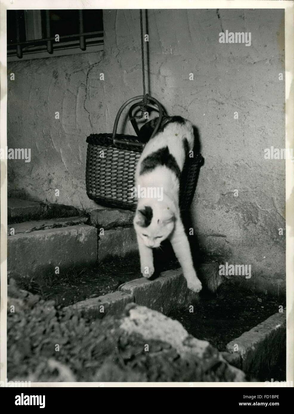 1976 The ''cat elevator''. That's not happening every day that