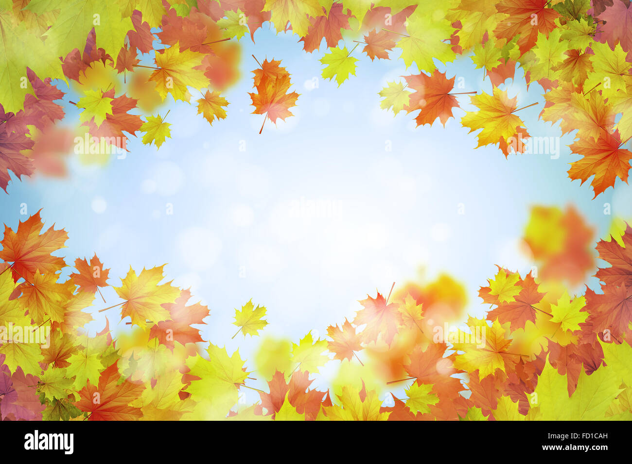 Background conceptual image with autumn leaves. Place for text Stock ...