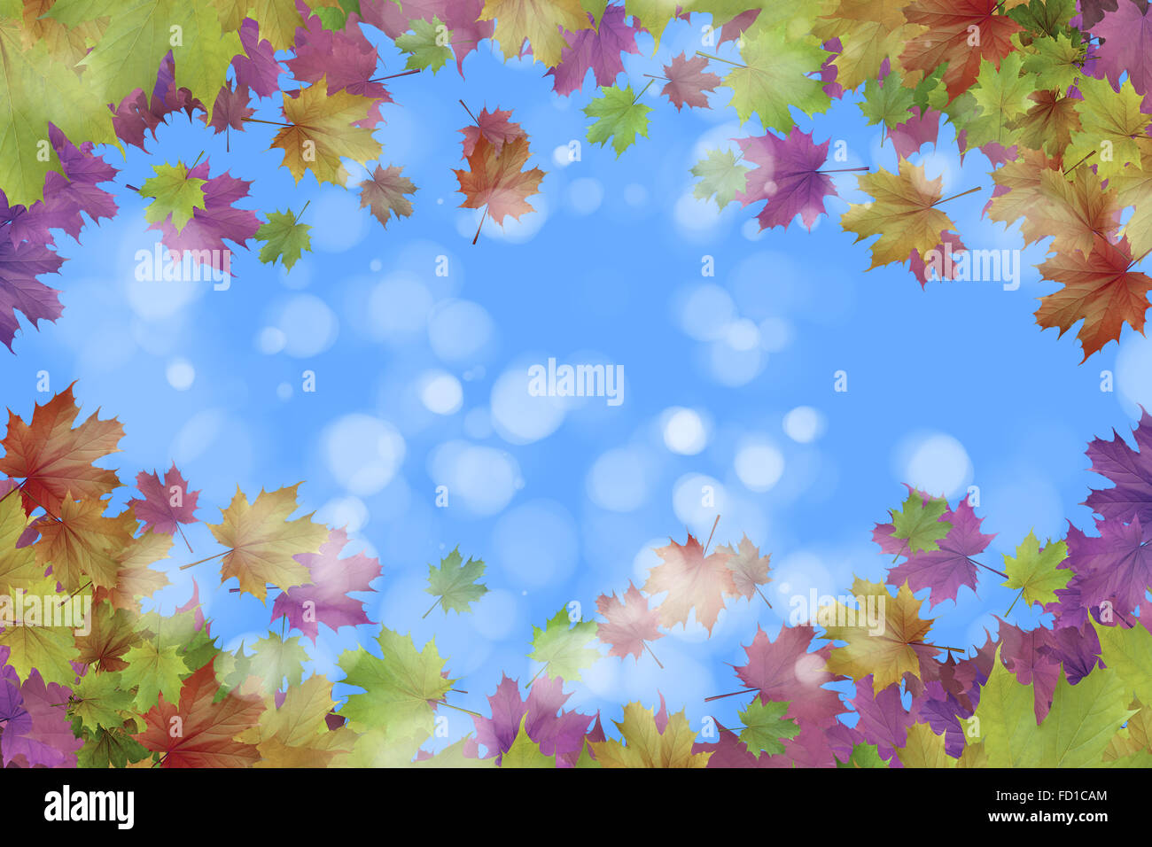 Background conceptual image with autumn leaves. Place for text Stock ...