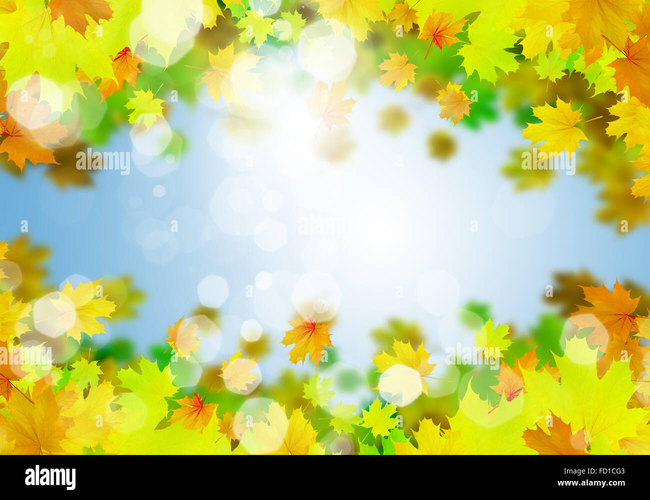 Background conceptual image with autumn leaves. Place for text Stock ...