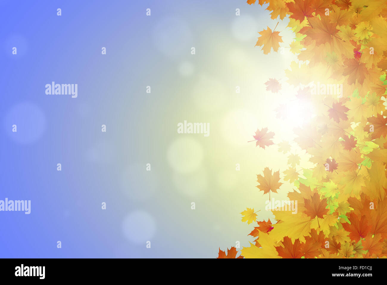 Background conceptual image with autumn leaves. Place for text Stock ...