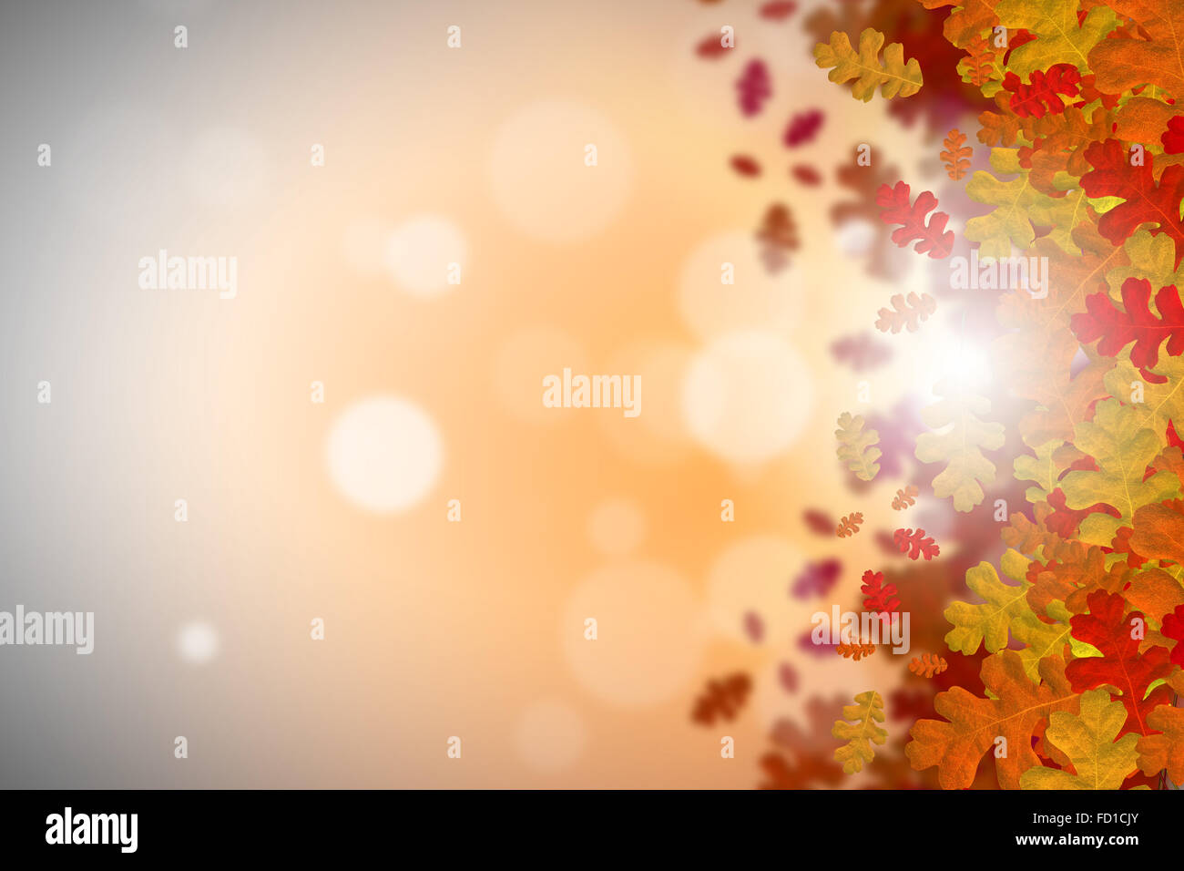 Background conceptual image with autumn leaves. Place for text Stock ...