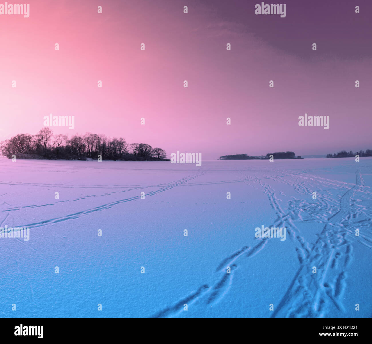 Finnish frozen lake tree hi-res stock photography and images - Alamy