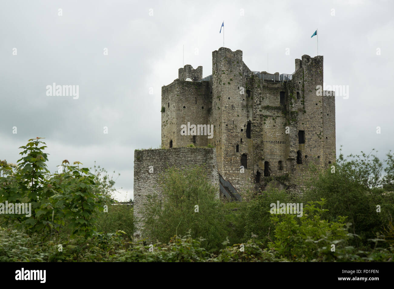 the 12th century Norman Trim Castle, Trim, Ireland Stock Photo Alamy