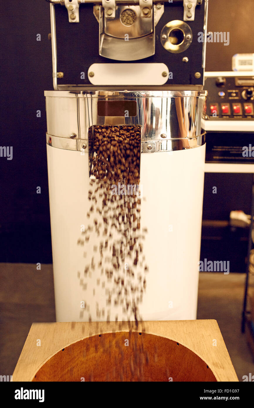 Machine for roasting coffee dispensing roasted beans into Stock Photo