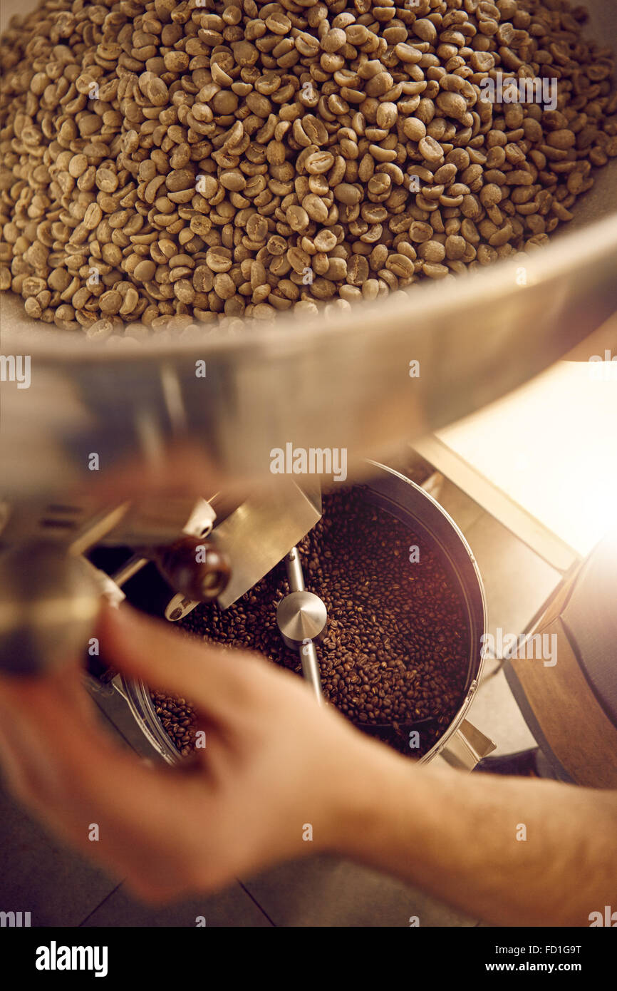 Hands of a coffee roaster operating an appliance with beans Stock Photo