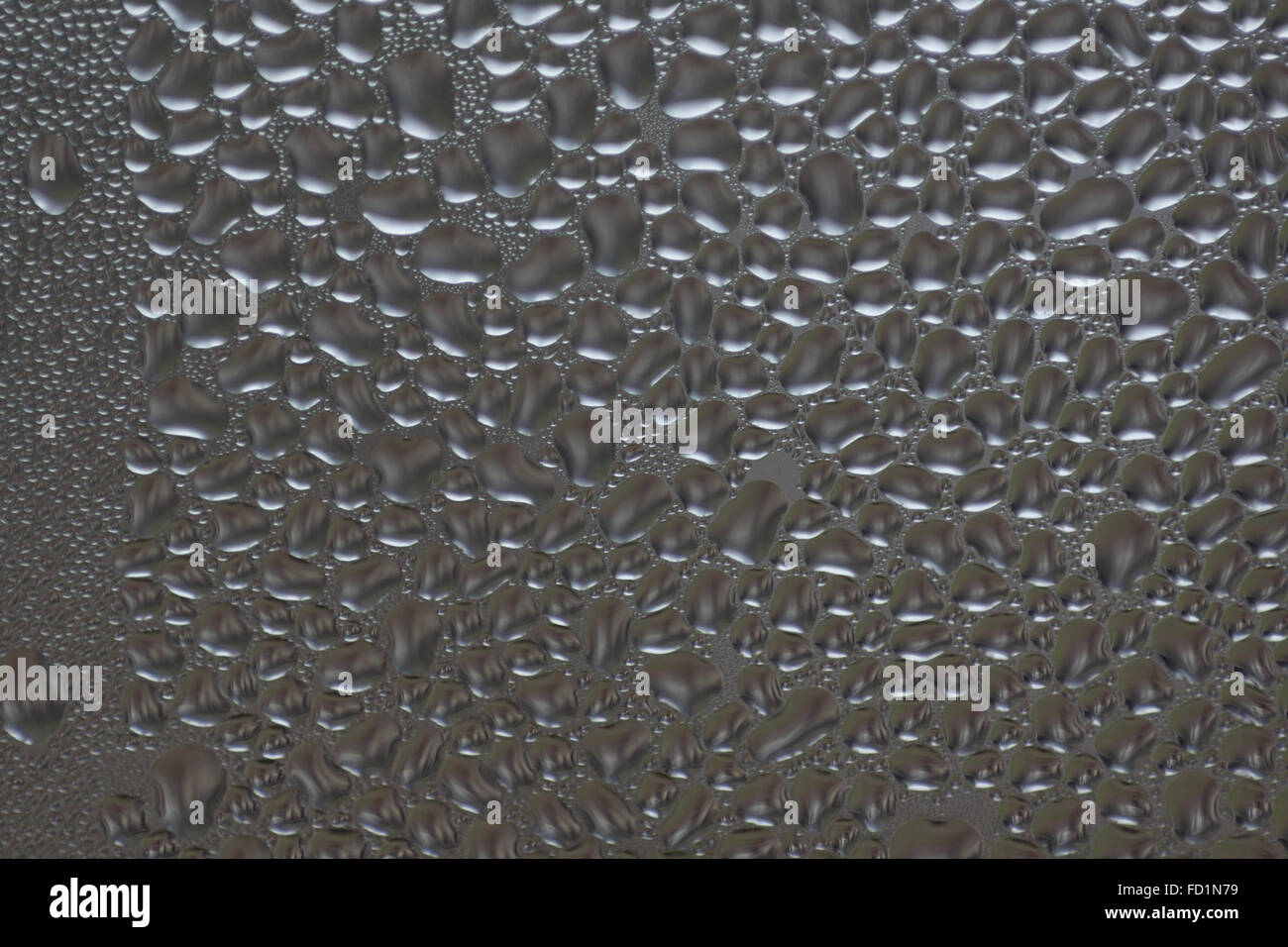 macro photo of water drops on a window glass Stock Photo - Alamy