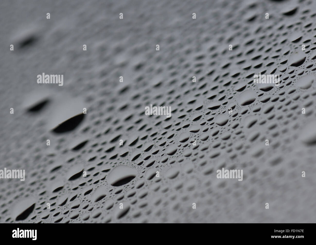 macro photo of water drops on a window glass Stock Photo - Alamy