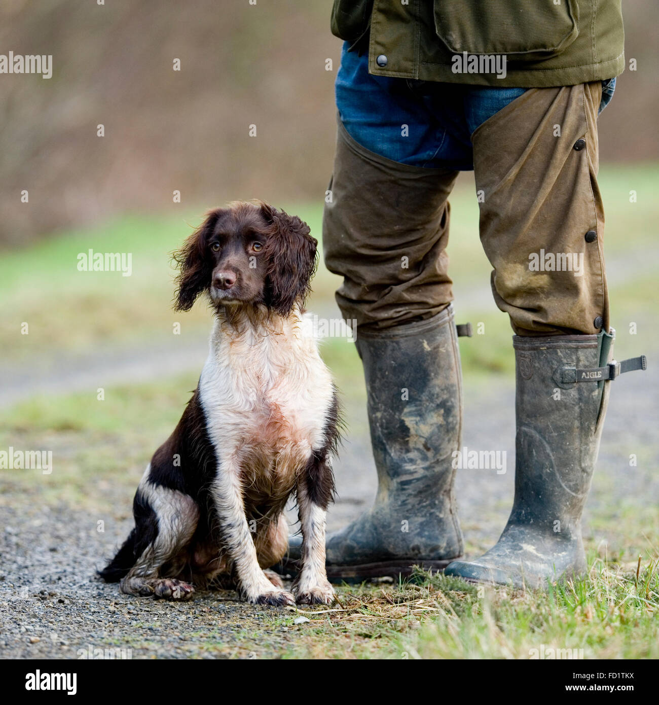 Working dog boots store