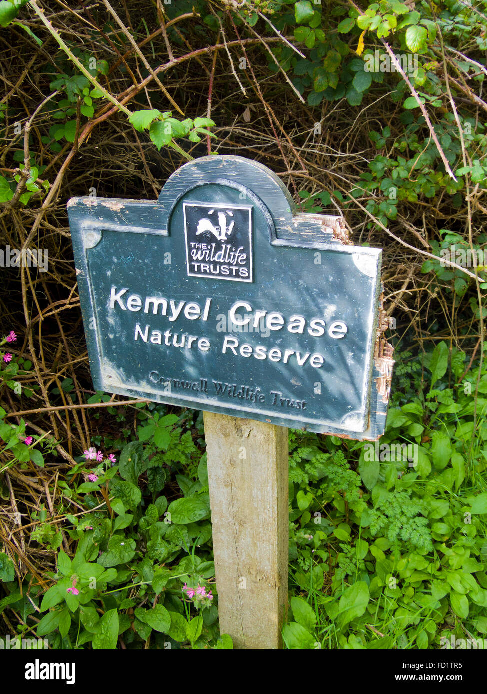 Kemyel Crease Nature Reserve, Cornwall Wildlife Trust, Cornwall, England, UK Stock Photo