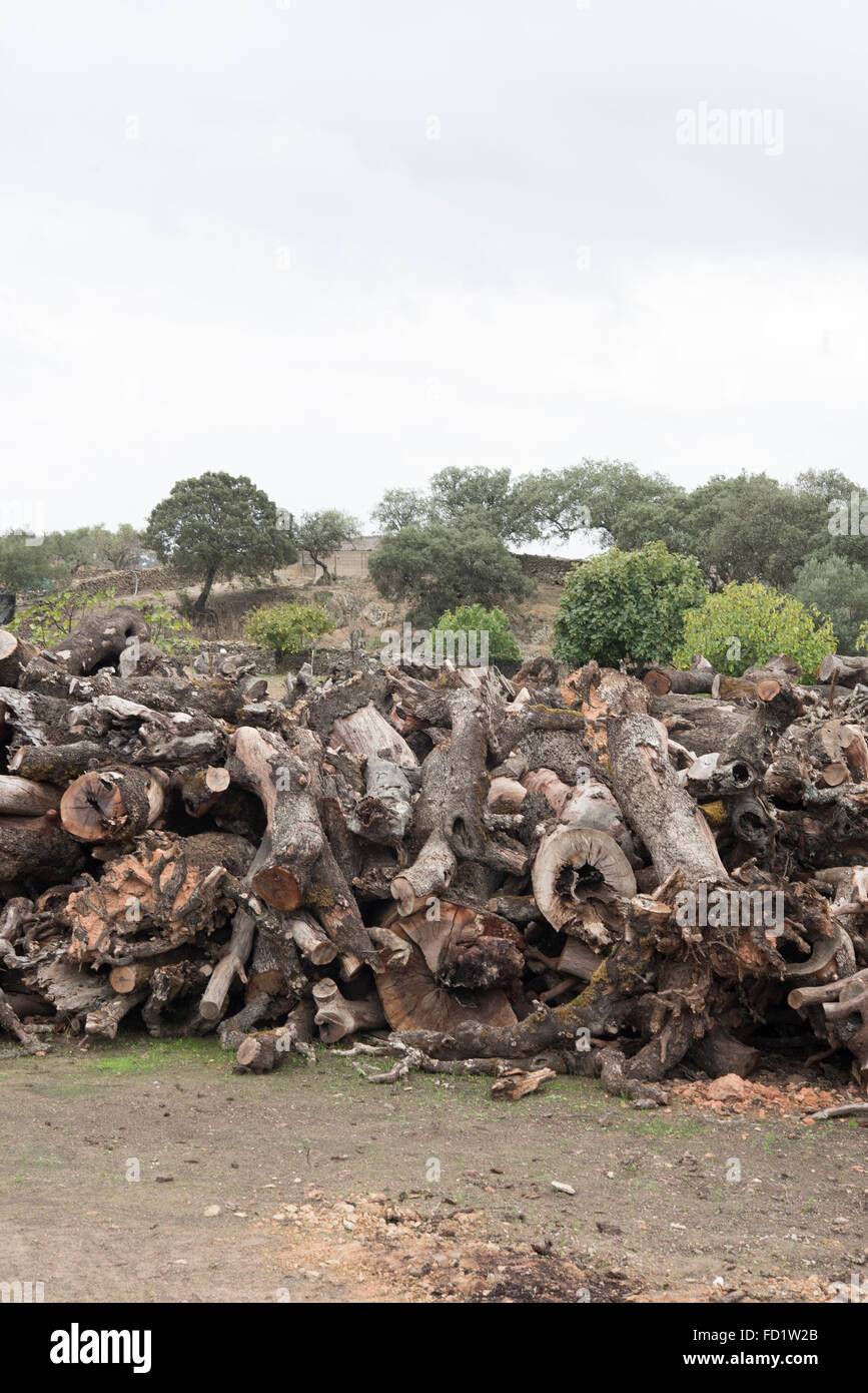 Charcoal kiln burning wood hires stock photography and images Alamy