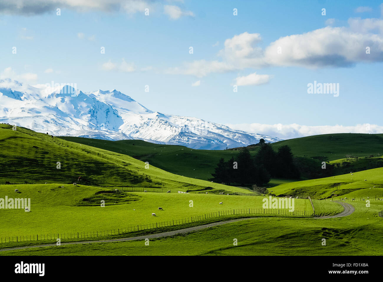New Zealand. Spectacular mountain scenery with rolling green hills in the foreground. Stock Photo