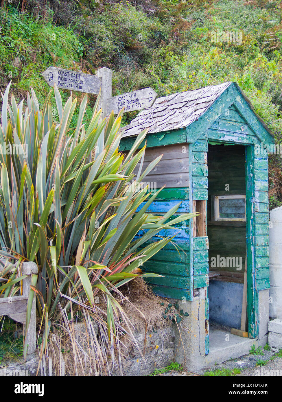 Wooden Bus Shelter and Phormium Plant at Lamorna Cove, Cornwall, England, UK in Summer Stock Photo