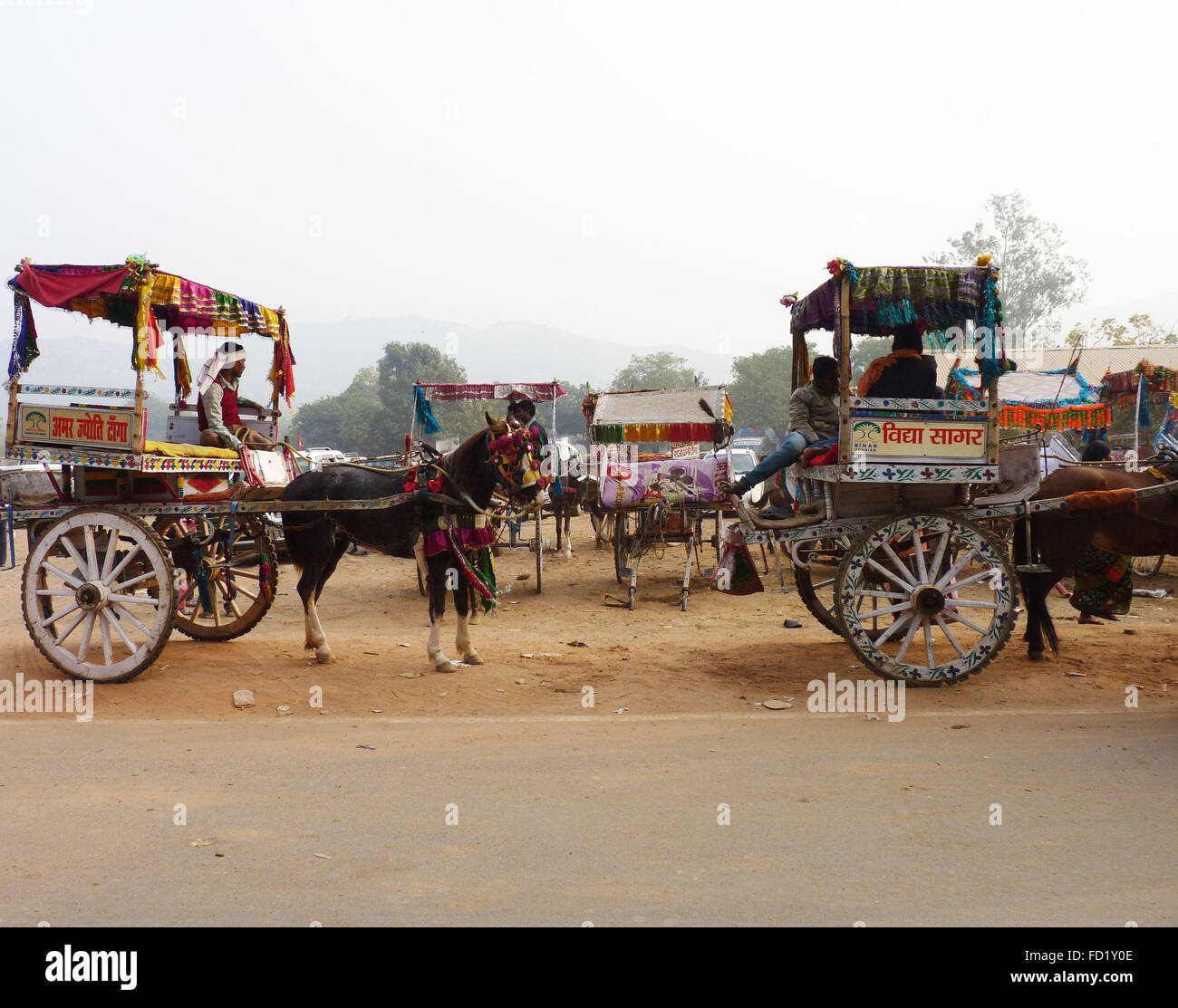 Beautiful Horse Carriages or Tangas Parked and Waiting for Passengers in a Tourist Town of India Stock Photo