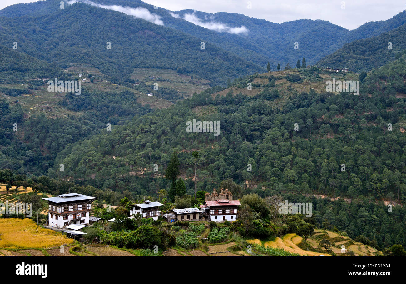Traditional houses, scattered settlement in Punakah Valley, Central Bhutan at Lobesa, Bhutan Stock Photo