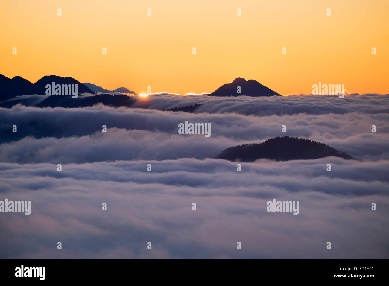 Sunrise on Jochberg mountain with cloud cover, Bavarian Prealps, Kochel, Upper Bavaria, Bavaria, Germany Stock Photo