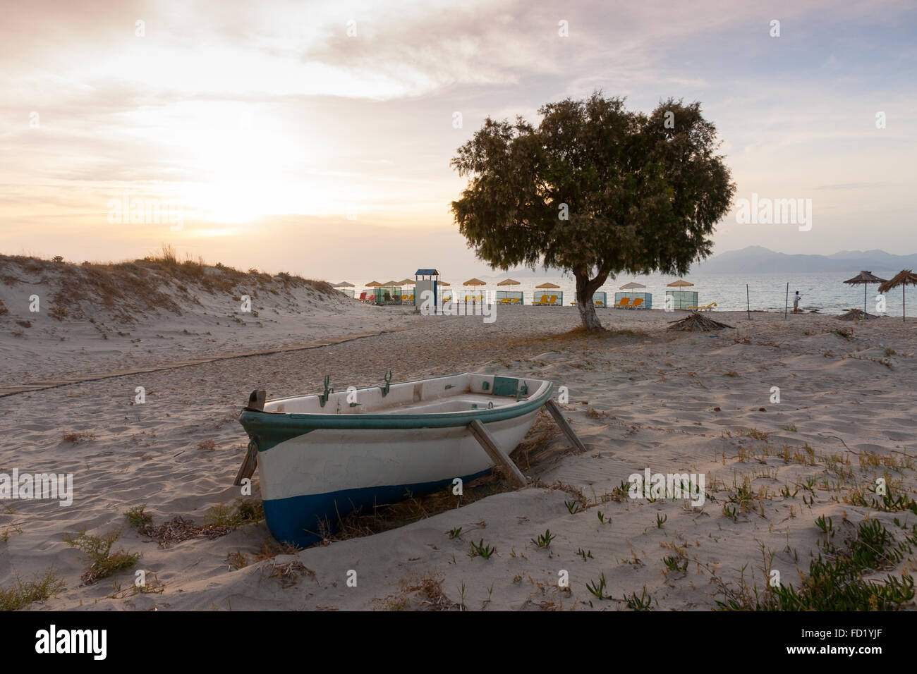 foreground row boat and dominant tree on beach at Marmari, Kos, Greece Stock Photo