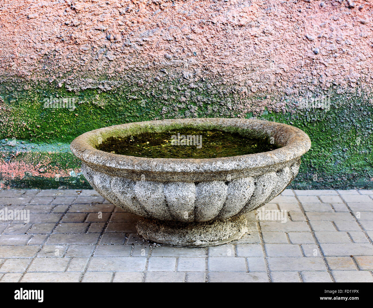 Old vase for flowers costs around carelessly painted walls of the building with cracks and scratches, overgrown with moss. Selec Stock Photo