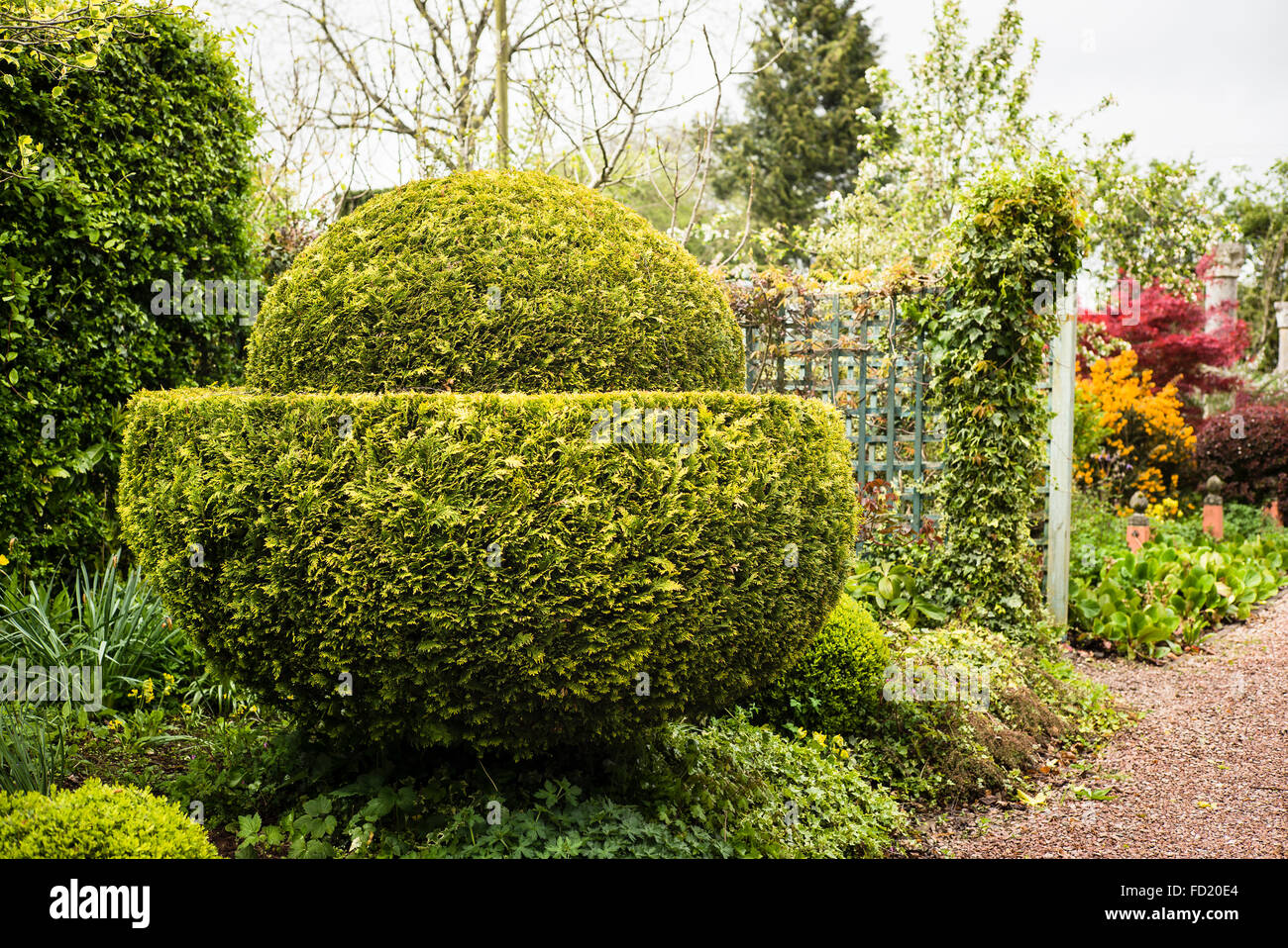 Neat topiary is a feature of The Laskett garden in Herefordshire UK Stock Photo