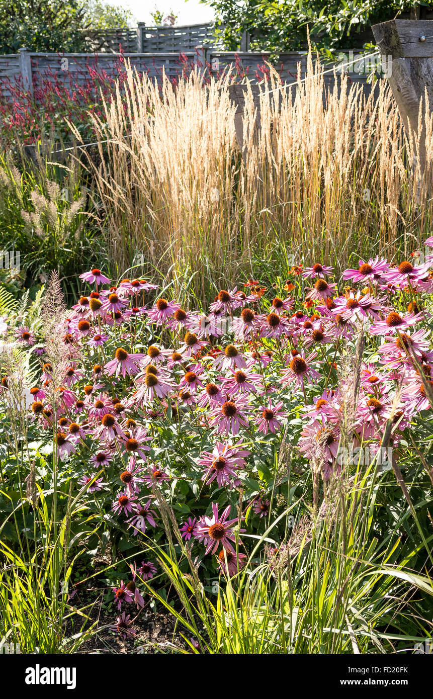 A small demonstration garden planted in the Prairie style Stock Photo