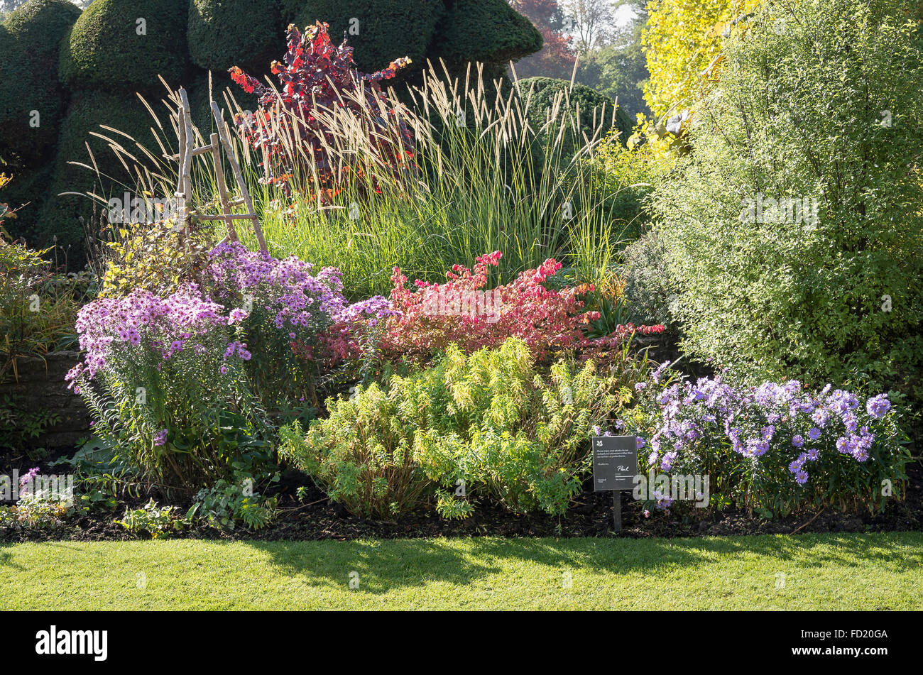 Mixed herbaceous border at The Courts garden in autumn Stock Photo