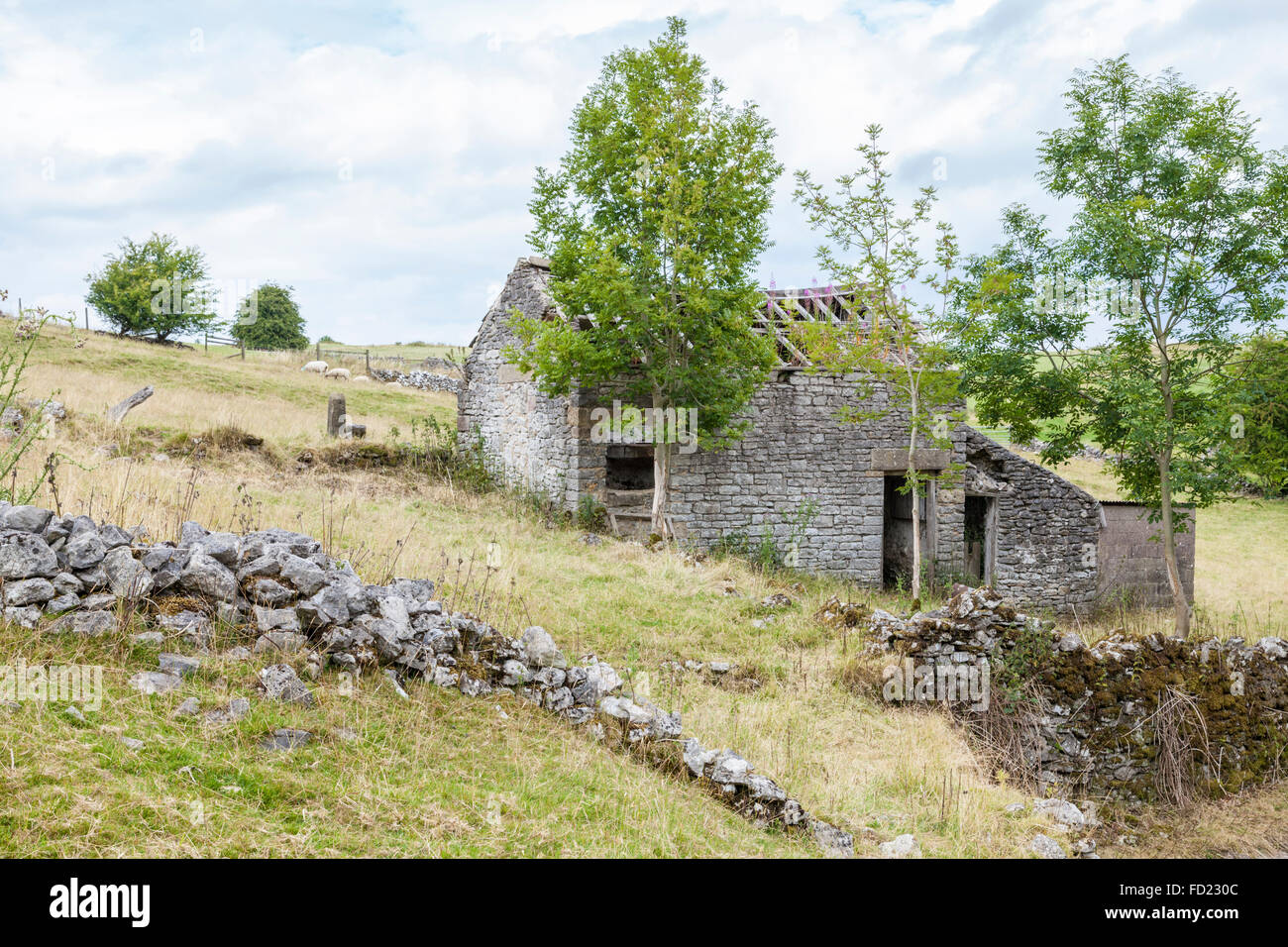 Abandoned ruin. Disused old stone farm building in ruins on a hillside field, Derbyshire, England, UK Stock Photo