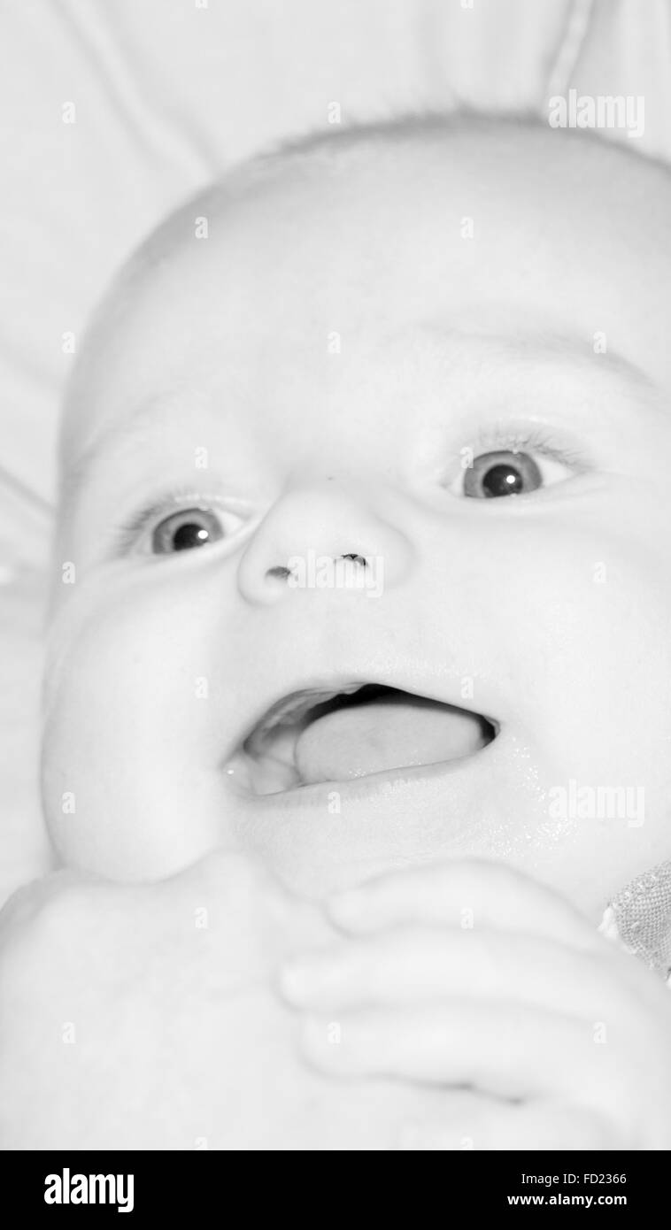 Portrait of a four months old baby boy black and white caucasian Stock