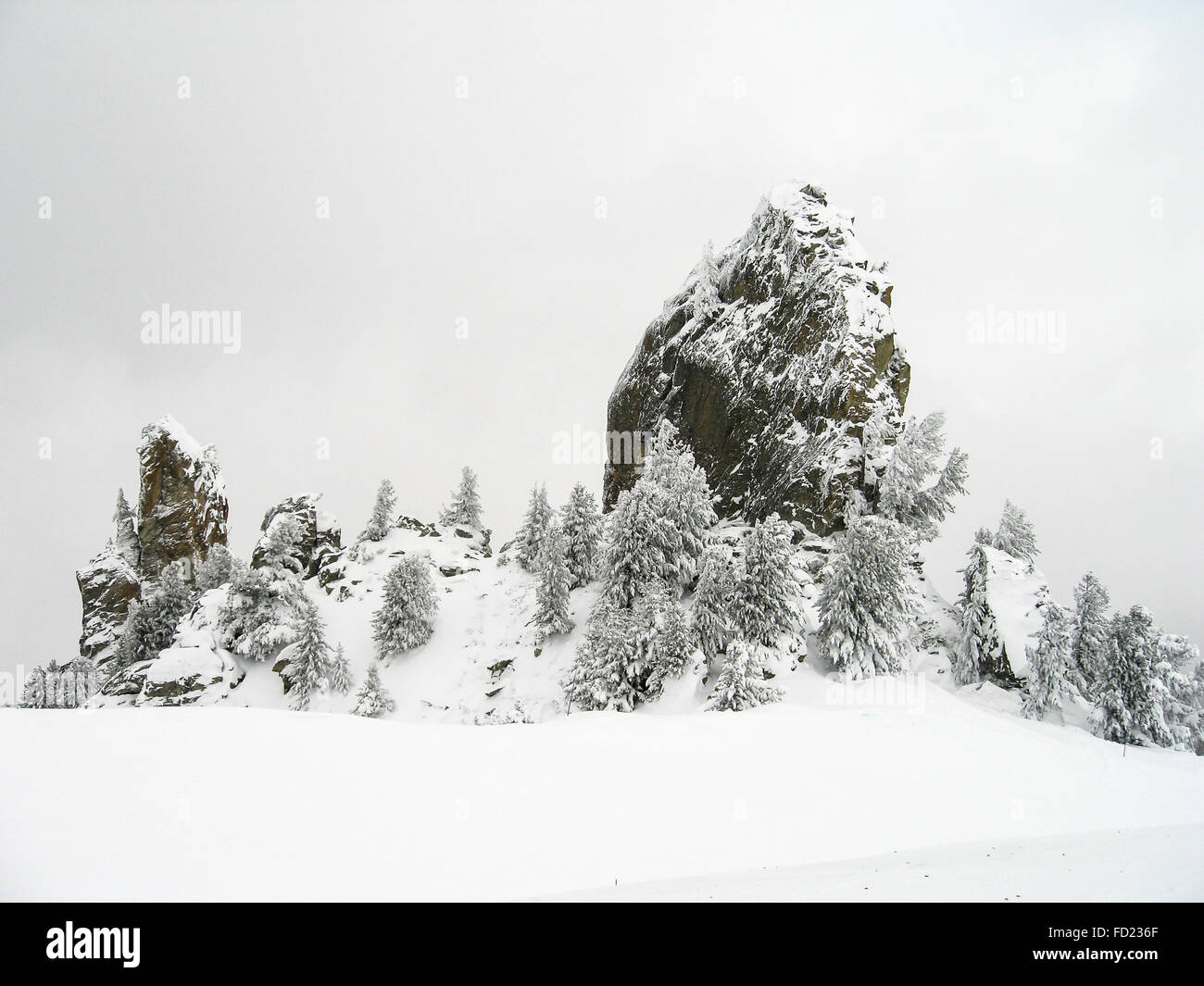 a snowy rocky outcrop rocks and trees covered in snow in the Alpes Stock Photo