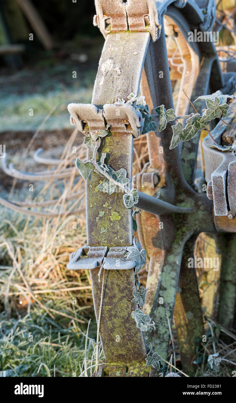 Frost on a vintage bamford potato spinner in an allotment. UK Stock Photo