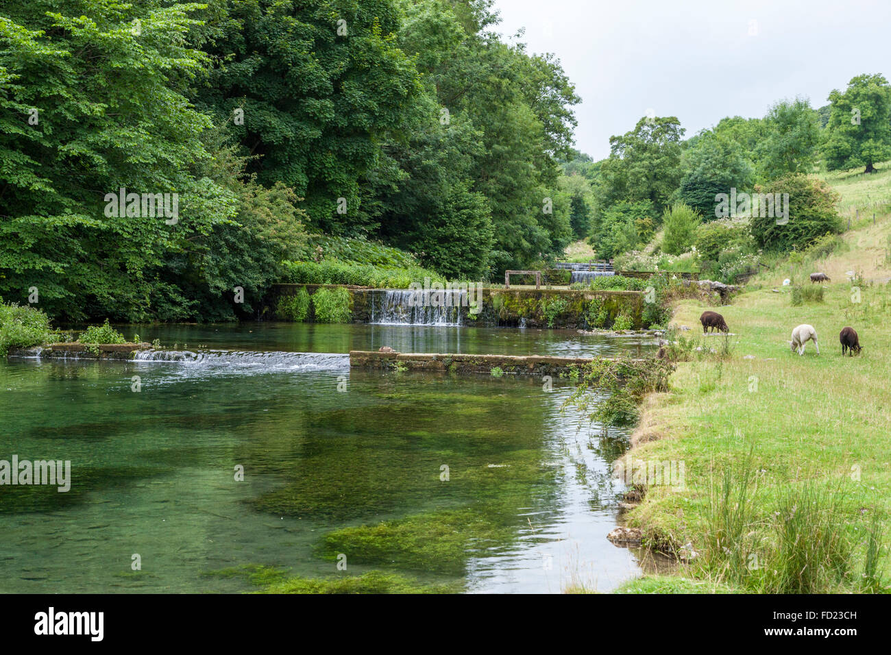 The River Lathkill in Lathkill Dale, Derbyshire, Peak District, England, UK Stock Photo