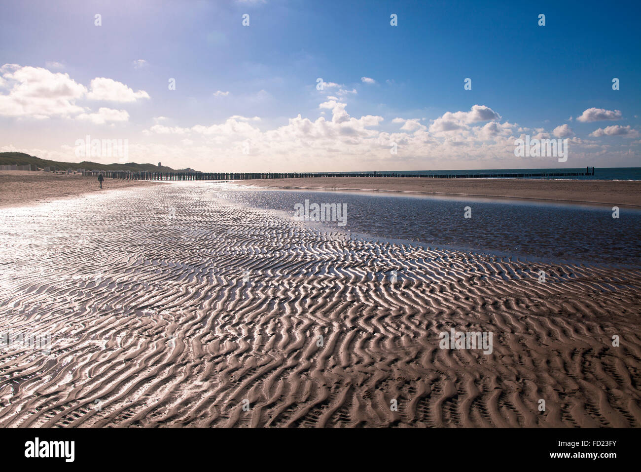Europe, Netherlands, Zeeland, at the beach between Oostkapelle and Domburg on the peninsula Walcheren. Stock Photo