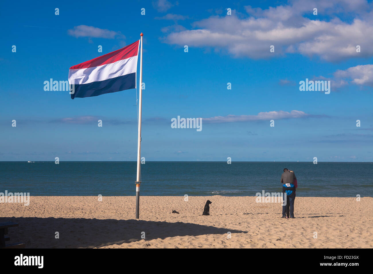 Europe, Netherlands, couple and dog at the beach in Vrouwenpolder on the peninsula Walcheren. Stock Photo