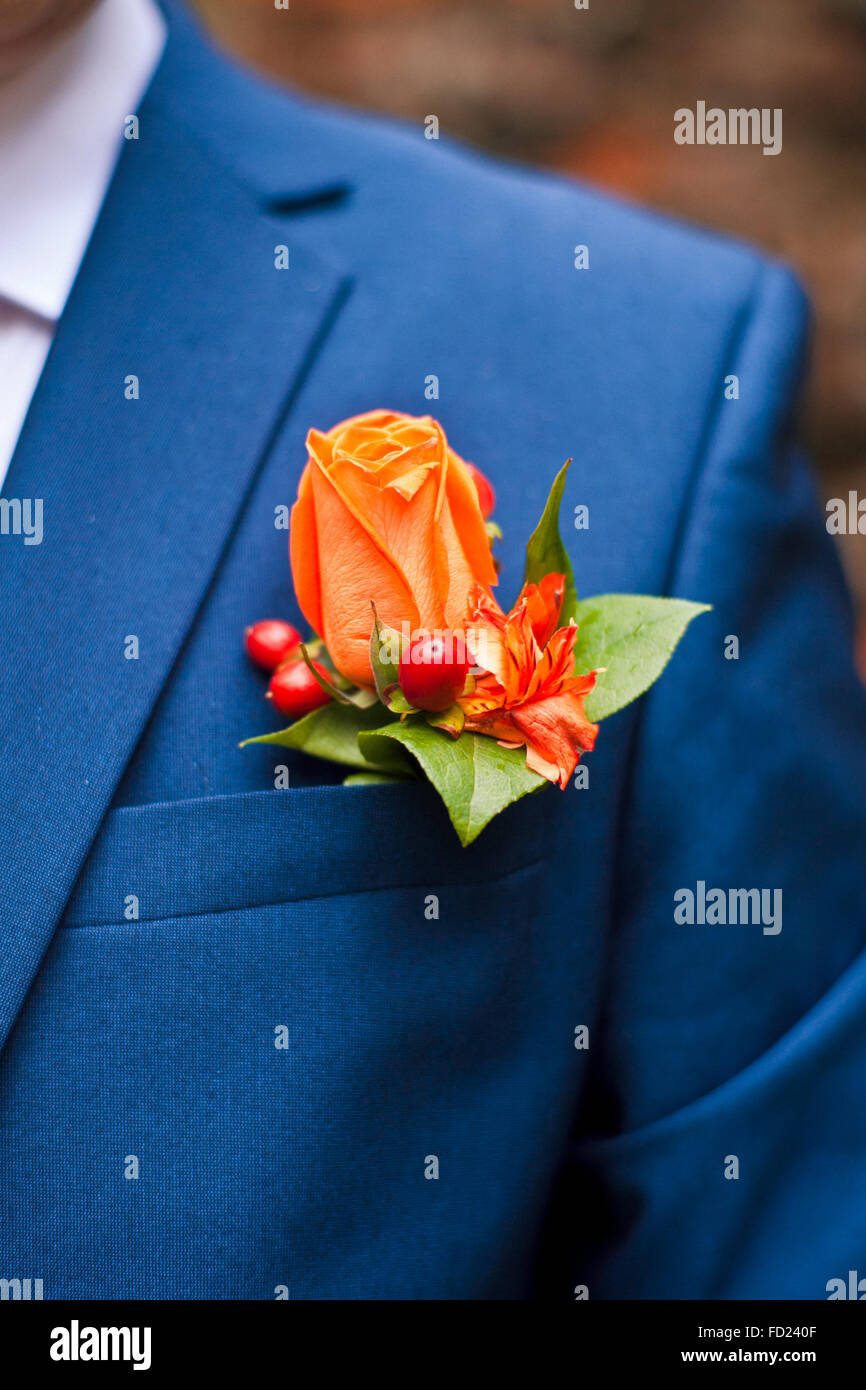 boutonniere of orange roses in the pocket of his jacket male. Stock Photo