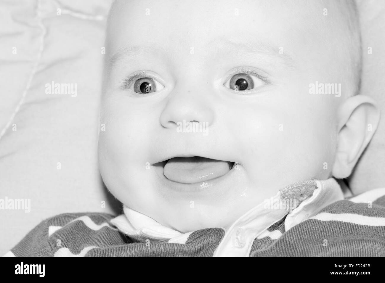 Portrait of a four months old baby boy black and white caucasian Stock