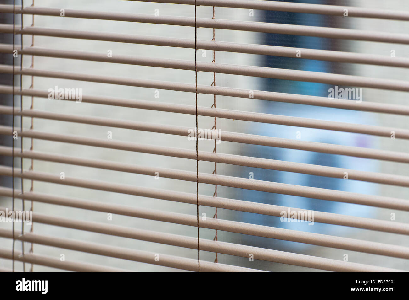 open blinds, close up image as background on the home window