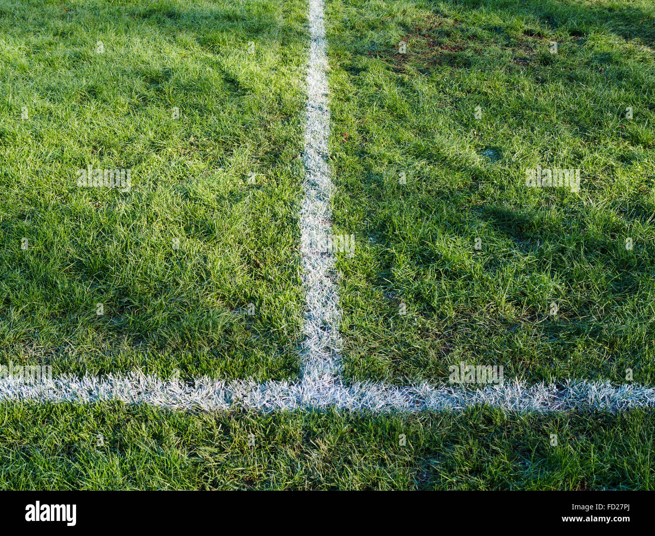 Rugby pitch markings. Intersection of touchline and try line Stock