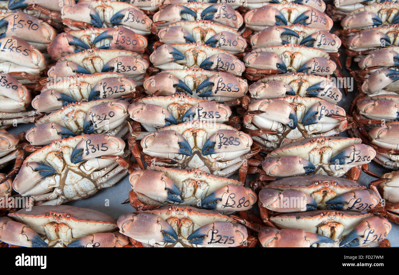 Sea crabs for sale on jetty. Stock Photo