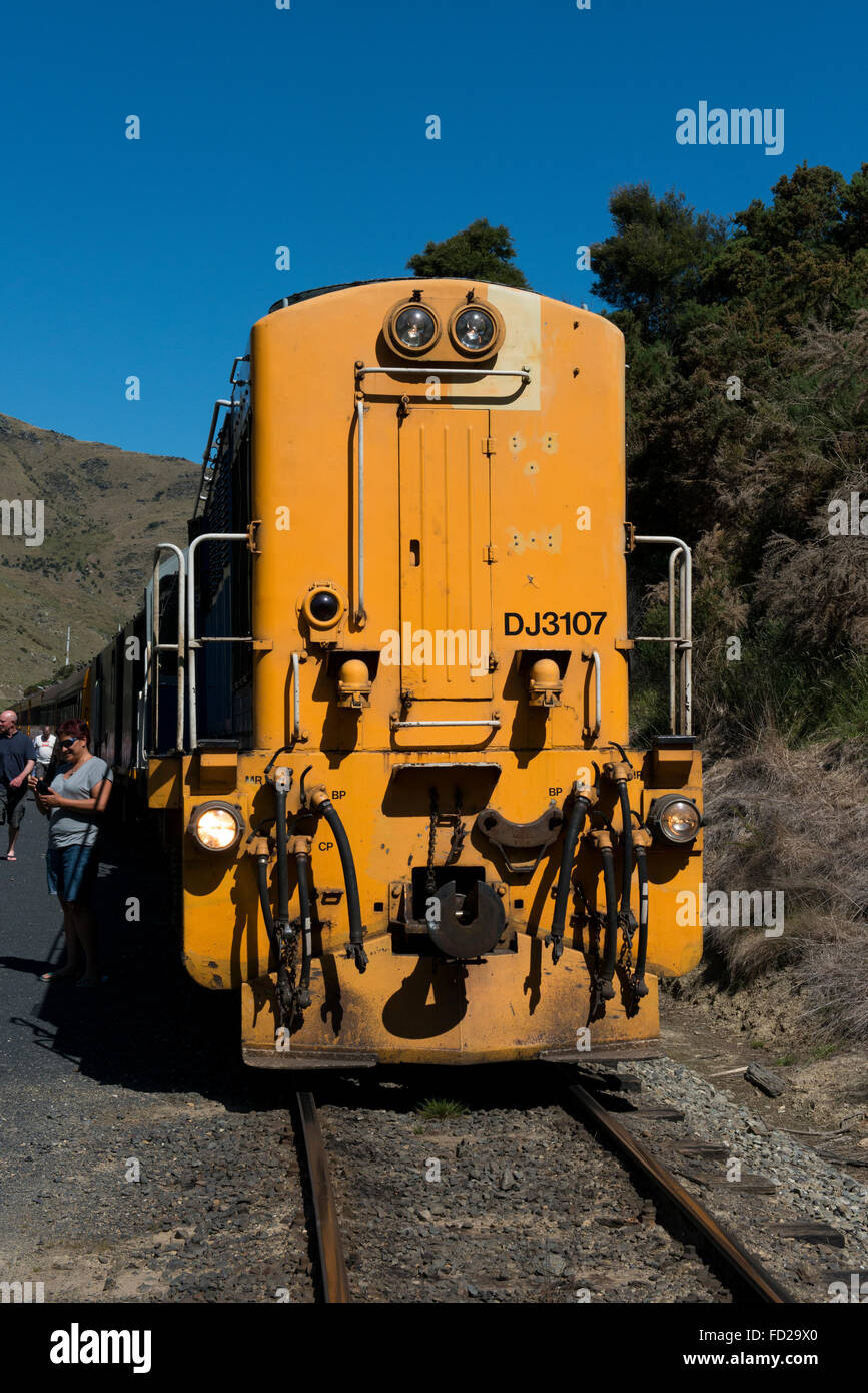 New Zealand, Dunedin, Dunedin Railways Taieri scenic train