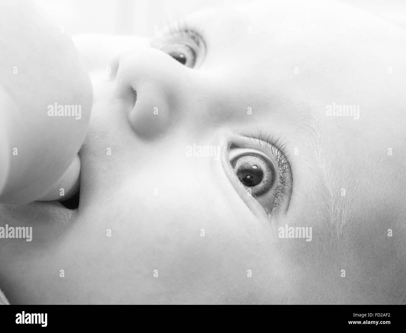 Portrait of a four months old baby boy black and white caucasian Stock