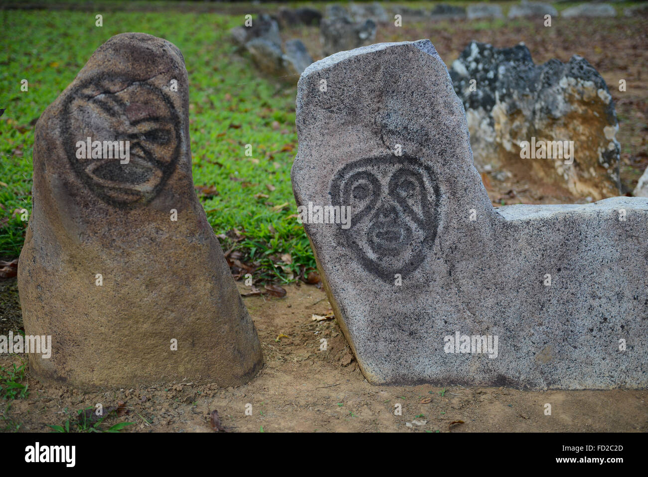 Rocks carved with petroglyphs at Caguana Indigenous Ceremonial Center. Utuado, Puerto Rico. Caribbean Island. US territory. Stock Photo