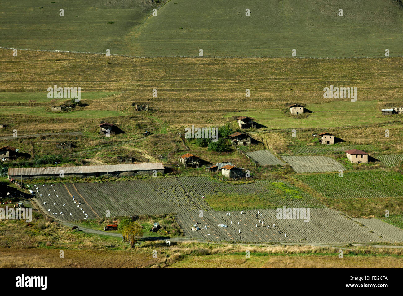 Tuscheti Nationalpark High Resolution Stock Photography and Images - Alamy