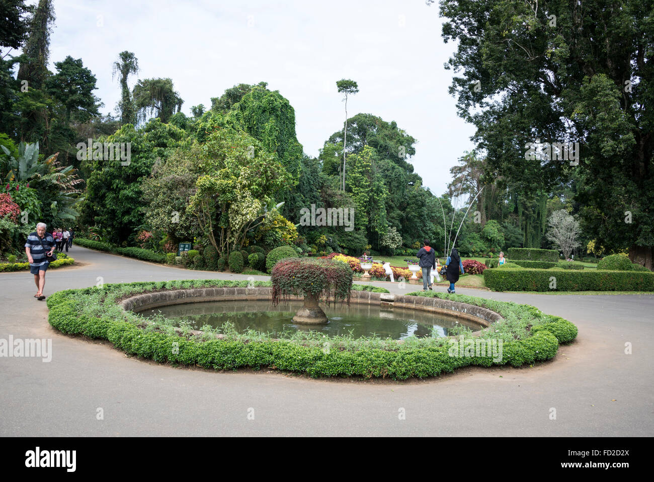The Royal Botanic Gardens, Peradeniya are about 5.5 km from Kandy in the Central Province of Sri Lanka. Stock Photo