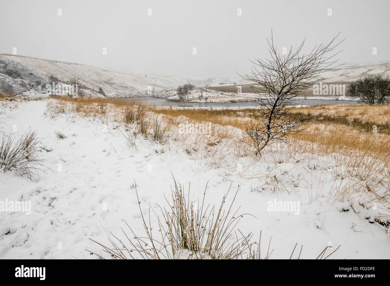 Snow fall on hillside Stock Photo