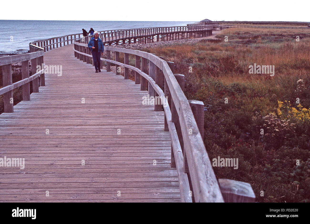 Bouctouche, new brunswick, canada hires stock photography and images